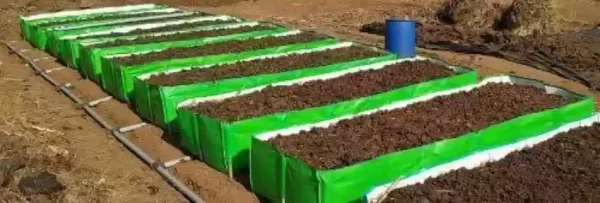 HDPE VERMICOMPOST BED with UV Stabilized Material of 450 GSM 6x4x2 FEET - Image 4