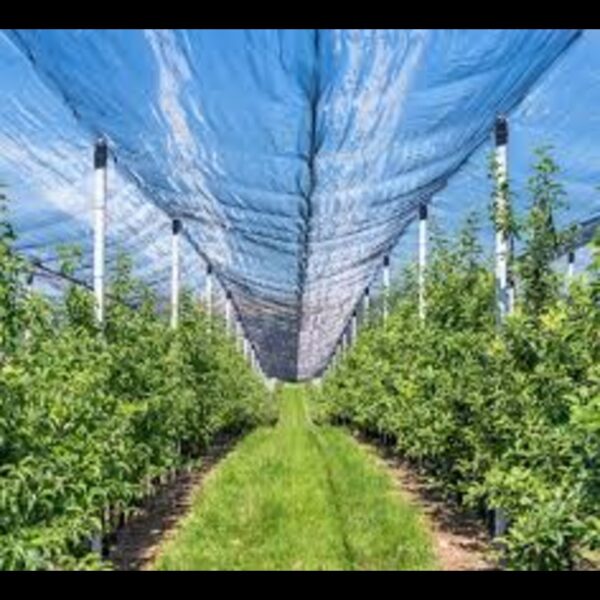 ANTI HAIL NETS 9m width x 30m length - Image 3