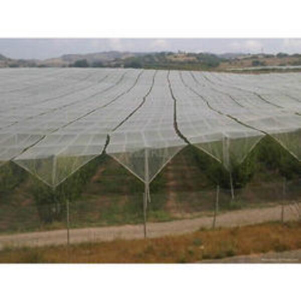 ANTI HAIL NETS 6m width x 50m length - Image 4